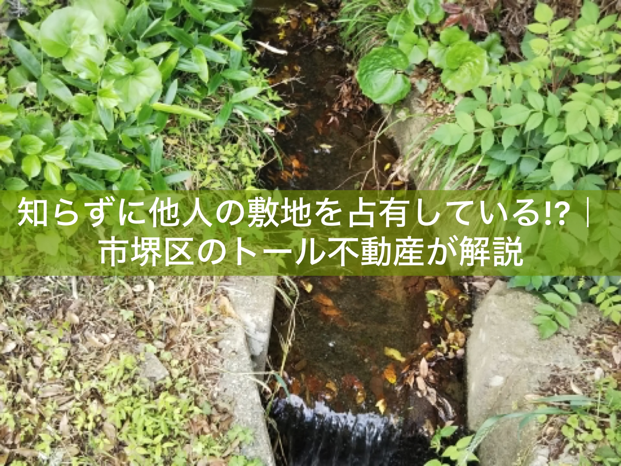 photo-output-1.jpg